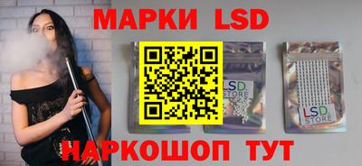 apvp Гусев