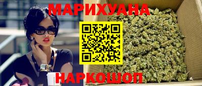 apvp Гусев