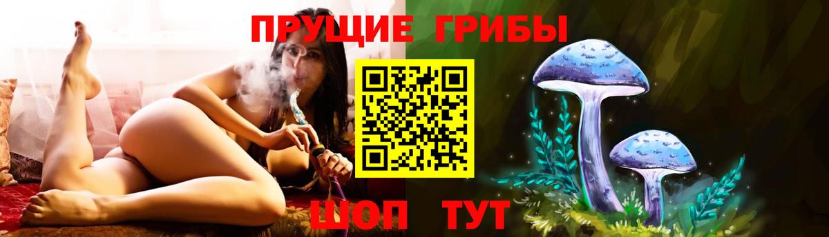 что такое   Вход с VPN  Клинцы  Галлюциногенные грибы мицелий  Галлюциногенные грибы мицелий 