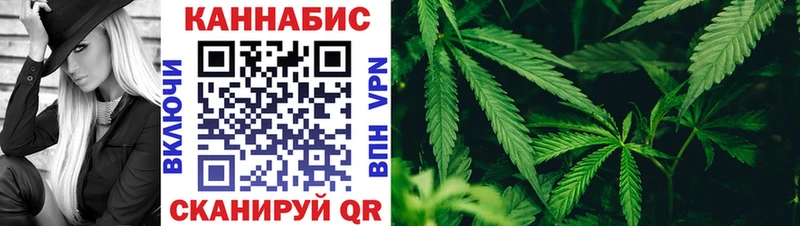 Конопля семена  где можно купить наркотик  Клинцы 